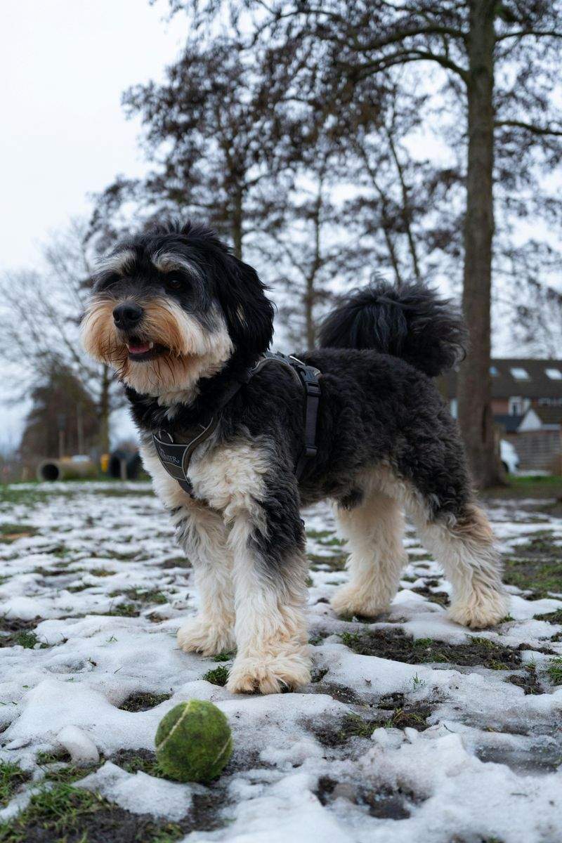 Die besten Frühlingspfade in Ihrer Nähe