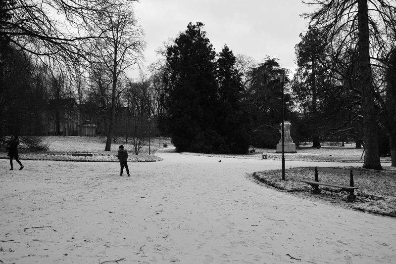 SpaziergangZauber - Image 15