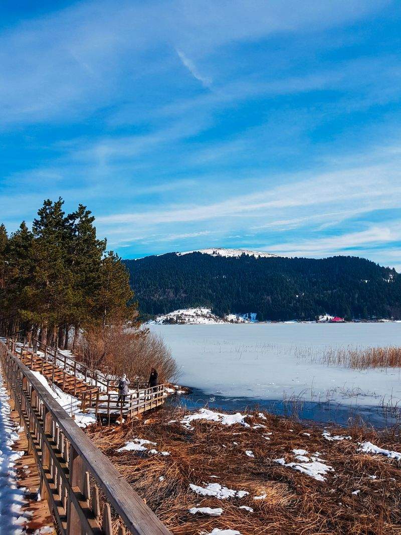 SpaziergangZauber - Image 2