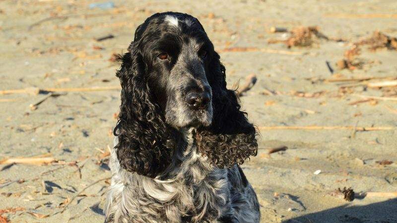 Historische Spaziergänge